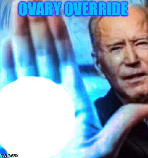 Ovary override | image tagged in ovary override | made w/ Imgflip meme maker