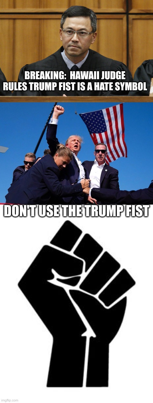 BREAKING:  HAWAII JUDGE RULES TRUMP FIST IS A HATE SYMBOL; DON'T USE THE TRUMP FIST | image tagged in hawaii judge,trump fist of fire,power fist | made w/ Imgflip meme maker