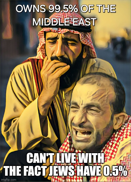 Cry harder | CAN'T LIVE WITH THE FACT JEWS HAVE 0.5% | image tagged in israel,palestine,arab | made w/ Imgflip meme maker