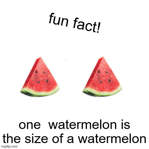 fun fact! | one  watermelon is the size of a watermelon | image tagged in fun fact | made w/ Imgflip meme maker