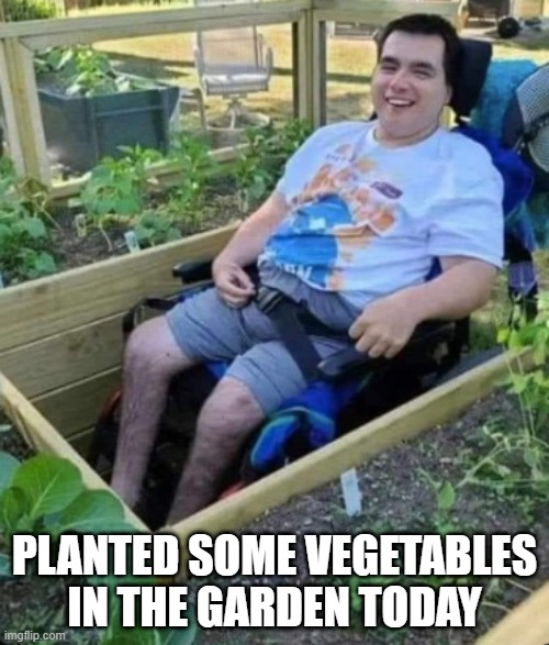 Vegetables | PLANTED SOME VEGETABLES IN THE GARDEN TODAY | image tagged in dark humor | made w/ Imgflip meme maker