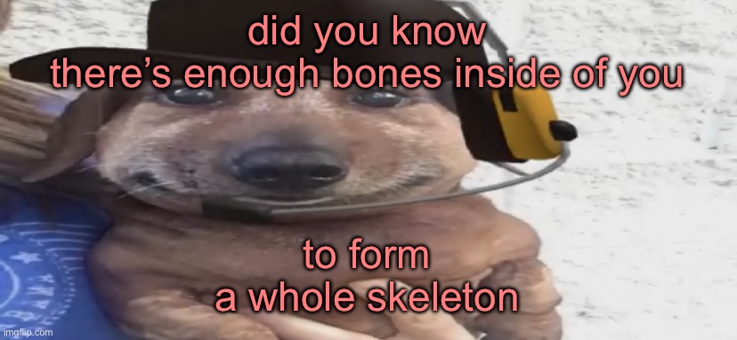 chucklenuts | did you know

there’s enough bones inside of you; to form

a whole skeleton | image tagged in chucklenuts | made w/ Imgflip meme maker