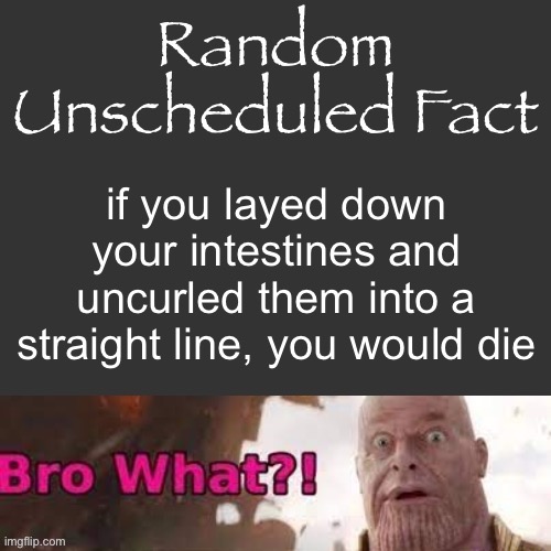 Random Unscheduled Fact | if you layed down your intestines and uncurled them into a straight line, you would die | image tagged in random unscheduled fact | made w/ Imgflip meme maker