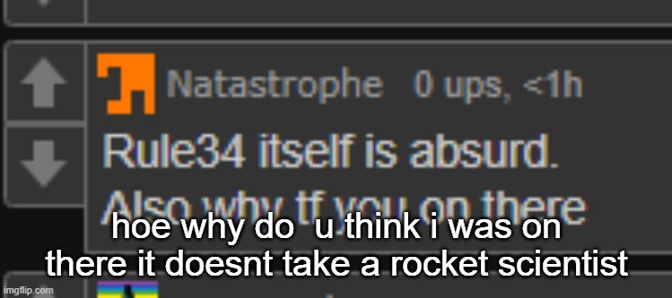 hoe why do  u think i was on there it doesnt take a rocket scientist | made w/ Imgflip meme maker