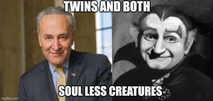 chuck schumer meme | TWINS AND BOTH; SOUL LESS CREATURES | image tagged in democrat party | made w/ Imgflip meme maker