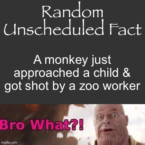 Random Unscheduled Fact | A monkey just approached a child & got shot by a zoo worker | image tagged in random unscheduled fact | made w/ Imgflip meme maker