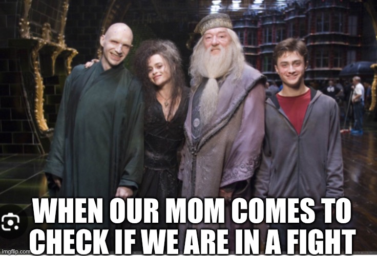 Meme | WHEN OUR MOM COMES TO CHECK IF WE ARE IN A FIGHT | image tagged in harry potter | made w/ Imgflip meme maker