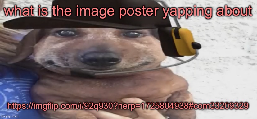 chucklenuts | what is the image poster yapping about; https://imgflip.com/i/92q930?nerp=1725804938#com33209329 | image tagged in chucklenuts | made w/ Imgflip meme maker