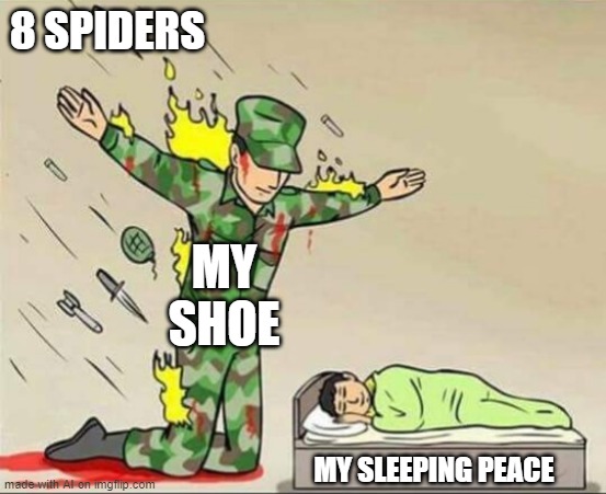 Soldier protecting sleeping child | 8 SPIDERS; MY SHOE; MY SLEEPING PEACE | image tagged in soldier protecting sleeping child | made w/ Imgflip meme maker