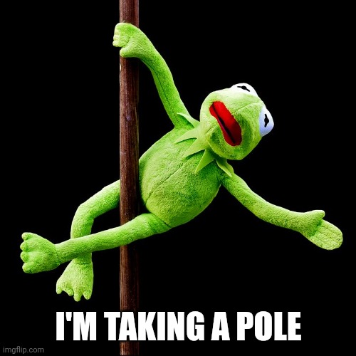 Kermit Pole Dance | I'M TAKING A POLE | image tagged in kermit pole dance | made w/ Imgflip meme maker