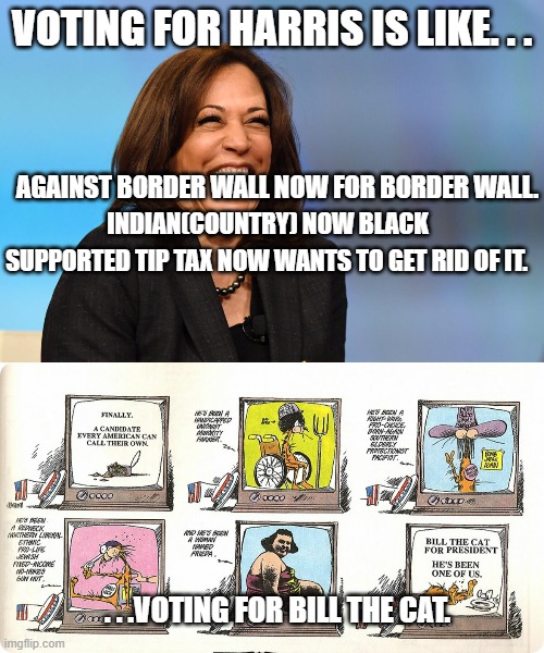 She probably coughed up more stuff than Bill ever did. | VOTING FOR HARRIS IS LIKE. . . AGAINST BORDER WALL NOW FOR BORDER WALL. INDIAN(COUNTRY) NOW BLACK; SUPPORTED TIP TAX NOW WANTS TO GET RID OF IT. . . .VOTING FOR BILL THE CAT. | image tagged in kamala laughing,politics,political meme,political humor | made w/ Imgflip meme maker