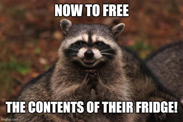 evil genius racoon | NOW TO FREE THE CONTENTS OF THEIR FRIDGE! | image tagged in evil genius racoon | made w/ Imgflip meme maker