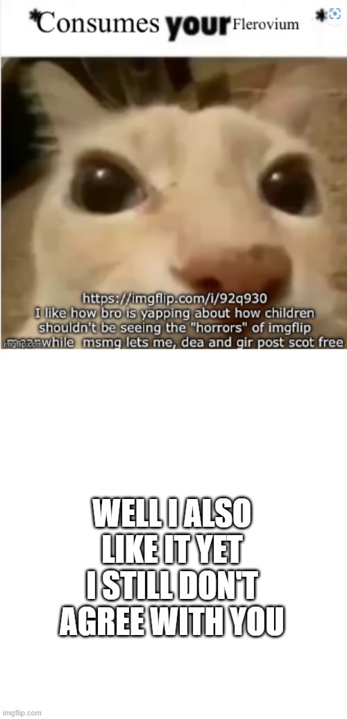 i'll gladly try my best to get you off this platform | WELL I ALSO LIKE IT YET I STILL DON'T AGREE WITH YOU | image tagged in no tags | made w/ Imgflip meme maker