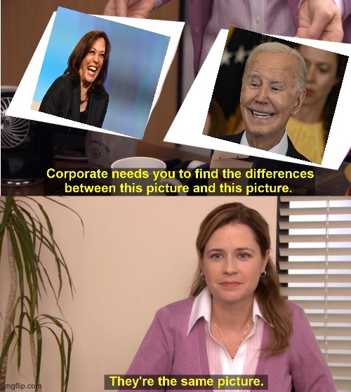 They're The Same Picture Meme | image tagged in memes,they're the same picture,kamala harris,joe biden,politics,political meme | made w/ Imgflip meme maker