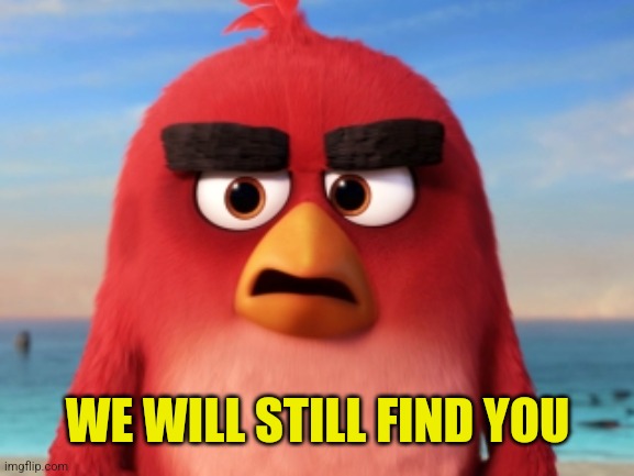 Angry Birds | WE WILL STILL FIND YOU | image tagged in angry birds | made w/ Imgflip meme maker