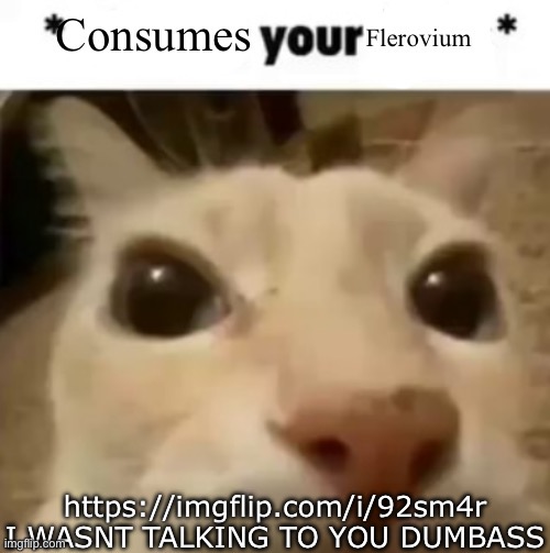 Yakko consumes your flerovium | https://imgflip.com/i/92sm4r

I WASNT TALKING TO YOU DUMBASS | image tagged in yakko consumes your flerovium | made w/ Imgflip meme maker