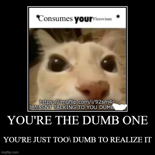 go frick yourself already | YOU'RE THE DUMB ONE | YOU'RE JUST TOO\ DUMB TO REALIZE IT | image tagged in demotivationals | made w/ Imgflip demotivational maker