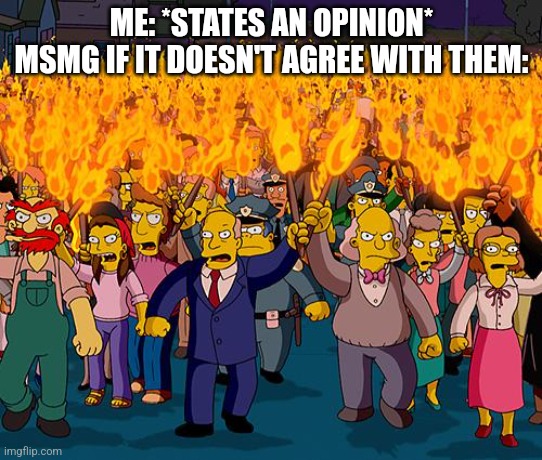 And that's how my meme got over 300 views in minutes :) | ME: *STATES AN OPINION*
MSMG IF IT DOESN'T AGREE WITH THEM: | image tagged in angry mob | made w/ Imgflip meme maker