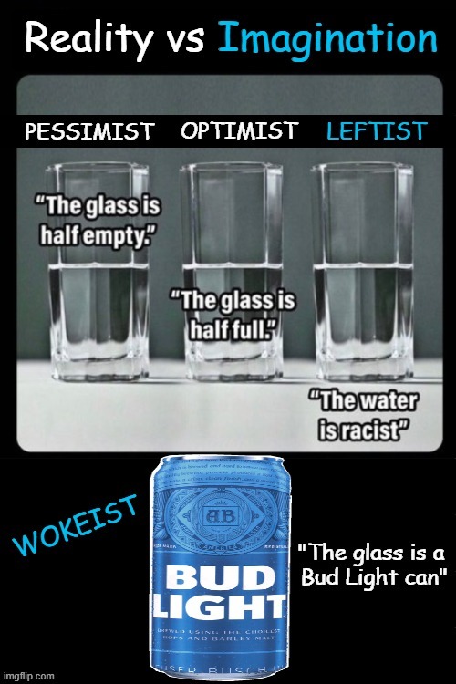 image tagged in political humor,pessimist,optimist,leftist,woke,imagination | made w/ Imgflip meme maker