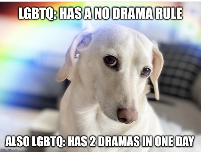 No drama rule (yesterday) | LGBTQ: HAS A NO DRAMA RULE; ALSO LGBTQ: HAS 2 DRAMAS IN ONE DAY | image tagged in be gay be happy,lgbtq,rules,drama | made w/ Imgflip meme maker