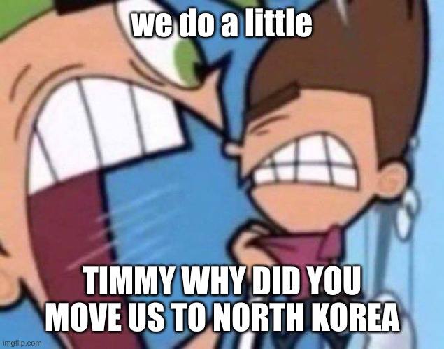 yea | we do a little; TIMMY WHY DID YOU MOVE US TO NORTH KOREA | image tagged in cosmo yelling at timmy | made w/ Imgflip meme maker