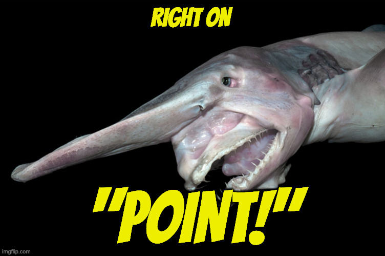 Deep sea fish | RIGHT ON "POINT!" | image tagged in deep sea fish | made w/ Imgflip meme maker