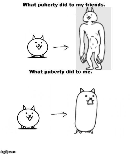 Battle Cats | image tagged in what puberty did to me,battlecats | made w/ Imgflip meme maker