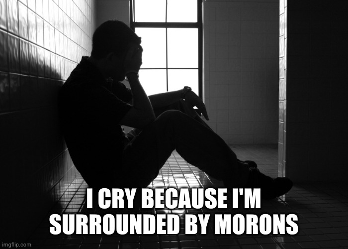 Sorrow | I CRY BECAUSE I'M SURROUNDED BY MORONS | image tagged in sorrow | made w/ Imgflip meme maker