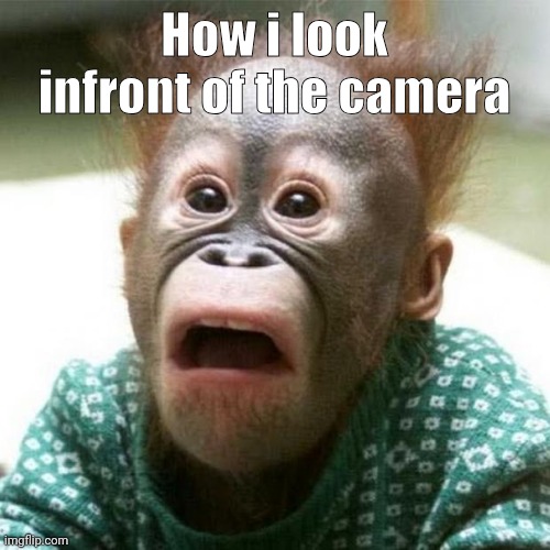 Shocked Monkey | How i look infront of the camera | made w/ Imgflip meme maker