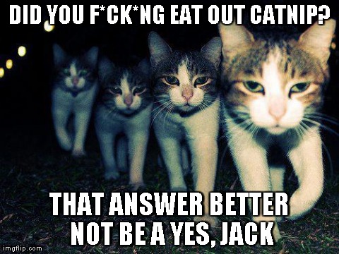 Wrong Neighboorhood Cats Meme | DID YOU F*CK*NG EAT OUT CATNIP? THAT ANSWER BETTER NOT BE A YES, JACK | image tagged in memes,wrong neighboorhood cats | made w/ Imgflip meme maker