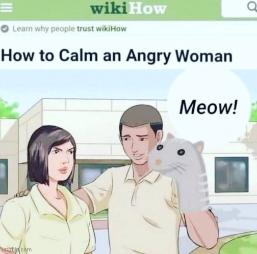 dailystormer.in infostormer.com  unz.com  gab.com  reeleak.com | image tagged in dailystormer in infostormer com unz com gab com reeleak com | made w/ Imgflip meme maker