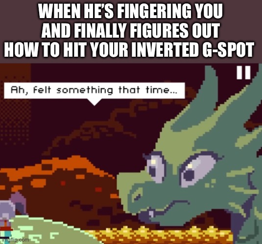 Trans femcel meme for this feed | WHEN HE’S FINGERING YOU AND FINALLY FIGURES OUT HOW TO HIT YOUR INVERTED G-SPOT | image tagged in dragoness,funny,sex,lgbt,gaming,meme | made w/ Imgflip meme maker