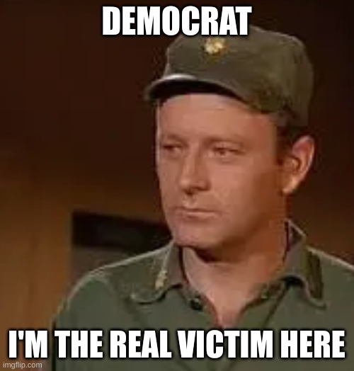 Frank Burns | DEMOCRAT I'M THE REAL VICTIM HERE | image tagged in frank burns | made w/ Imgflip meme maker