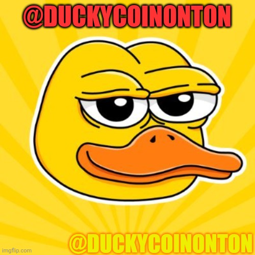 Duckycoinonton | @DUCKYCOINONTON; @DUCKYCOINONTON | image tagged in duck | made w/ Imgflip meme maker