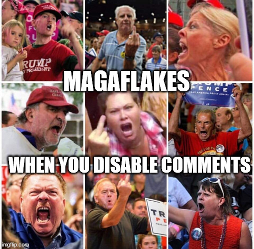 Triggered Trump supporters | MAGAFLAKES; WHEN YOU DISABLE COMMENTS | image tagged in triggered trump supporters | made w/ Imgflip meme maker