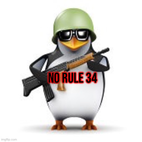 No rule 34 penguin | NO RULE 34 | image tagged in no anime penguin,anti r34 | made w/ Imgflip meme maker