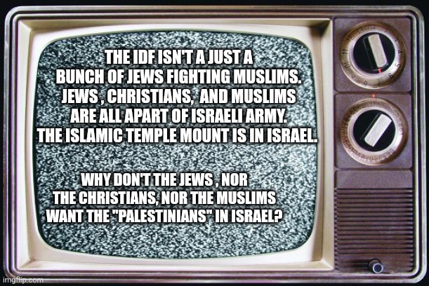 Static tv | THE IDF ISN'T A JUST A BUNCH OF JEWS FIGHTING MUSLIMS. JEWS , CHRISTIANS,  AND MUSLIMS ARE ALL APART OF ISRAELI ARMY. THE ISLAMIC TEMPLE MOUNT IS IN ISRAEL. WHY DON'T THE JEWS , NOR THE CHRISTIANS, NOR THE MUSLIMS WANT THE "PALESTINIANS" IN ISRAEL? | image tagged in static tv,funny memes | made w/ Imgflip meme maker