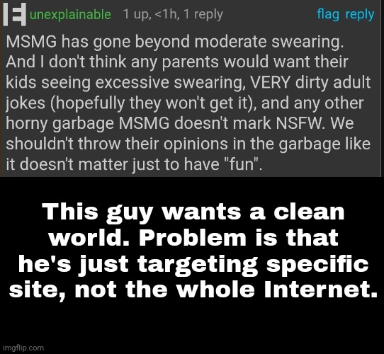 He's Christian and I like the way he thinks but he does not think greatly. | This guy wants a clean world. Problem is that he's just targeting specific site, not the whole Internet. | made w/ Imgflip meme maker