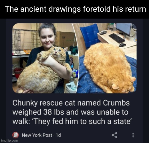 Garfield irl | The ancient drawings foretold his return | made w/ Imgflip meme maker