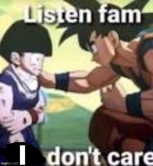 Listen fam we dont care | I | image tagged in listen fam we dont care | made w/ Imgflip meme maker