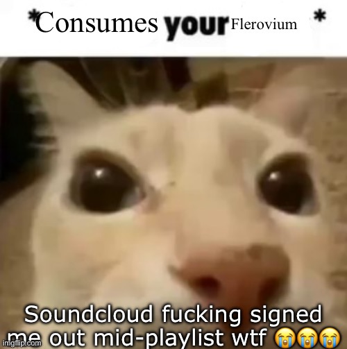 Yakko consumes your flerovium | Soundcloud fucking signed me out mid-playlist wtf 😭😭😭 | image tagged in yakko consumes your flerovium | made w/ Imgflip meme maker