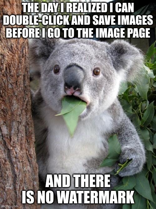 My imgflip life was changed forever | THE DAY I REALIZED I CAN DOUBLE-CLICK AND SAVE IMAGES BEFORE I GO TO THE IMAGE PAGE; AND THERE IS NO WATERMARK | image tagged in memes,surprised koala,imgflip,imgflip community,trick,koala | made w/ Imgflip meme maker