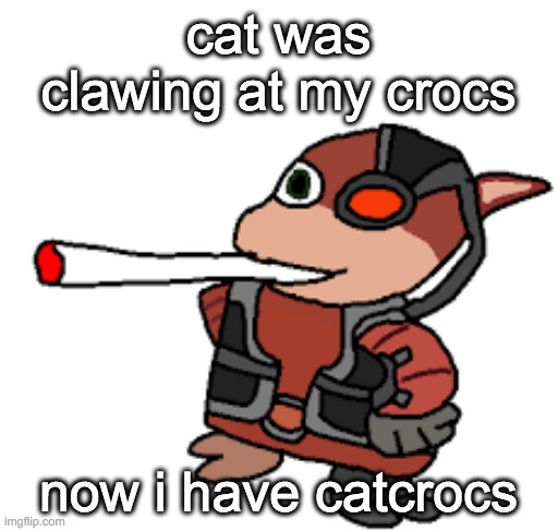 damn | cat was clawing at my crocs; now i have catcrocs | image tagged in grox with a fat blunt | made w/ Imgflip meme maker