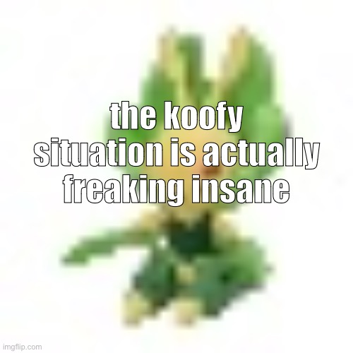 144p Leavanny | the koofy situation is actually freaking insane | image tagged in 144p leavanny | made w/ Imgflip meme maker