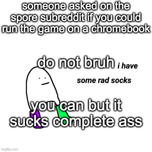 rad socks but your life isnt falling apart | someone asked on the spore subreddit if you could run the game on a chromebook; do not bruh; you can but it sucks complete ass | image tagged in rad socks but your life isnt falling apart | made w/ Imgflip meme maker