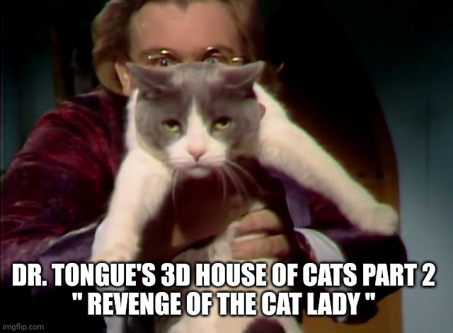 DR. TONGUE'S 3D HOUSE OF CATS PART 2 
" REVENGE OF THE CAT LADY " | made w/ Imgflip meme maker