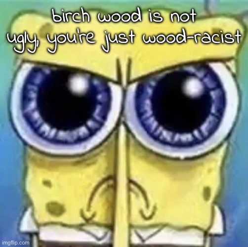 #endwoodracism2024 #birchlivesmatter | birch wood is not ugly, you're just wood-racist | image tagged in mad spongebob | made w/ Imgflip meme maker