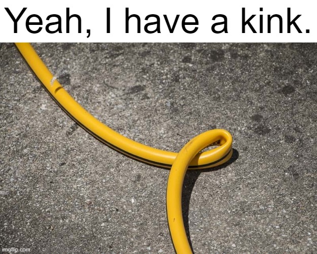 stupid hose keeps blocking the water flow | Yeah, I have a kink. | made w/ Imgflip meme maker