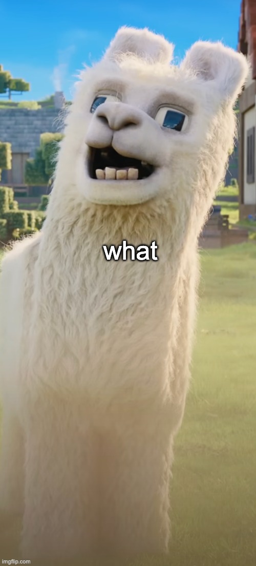 llama | what | image tagged in llama | made w/ Imgflip meme maker