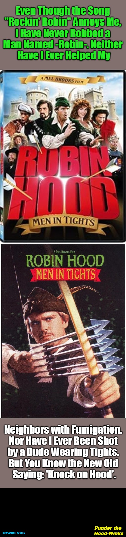 [NV] Punder the Hood-Winks [NV] | Even Though the Song 

"Rockin' Robin" Annoys Me, 

I Have Never Robbed a 

Man Named -Robin-. Neither 

Have I Ever Helped My; Neighbors with Fumigation. 

Nor Have I Ever Been Shot 

by a Dude Wearing Tights. 

But You Know the New Old 

Saying: 'Knock on Hood'. Punder the 

Hood-Winks; OzwinEVCG | image tagged in movies,music,references,punning amok,famous sayings and insider information,insider information | made w/ Imgflip meme maker